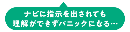 ナビに指示を出されても 理解ができずパニックになる…